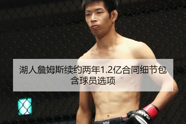 湖人詹姆斯续约两年1.2亿合同细节包含球员选项